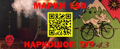 эйфоретик Малгобек