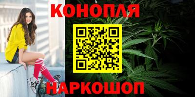 эйфоретик Малгобек