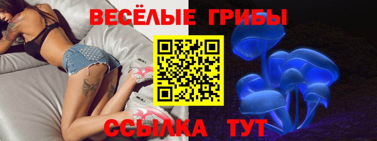 Псилоцибиновые грибы прущие грибы Тихвин